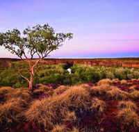 Island Stack Boodjamulla Lawn Hill National Park - Inverell Accommodation