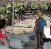 Whitsunday Crocodile Safari - Inverell Accommodation