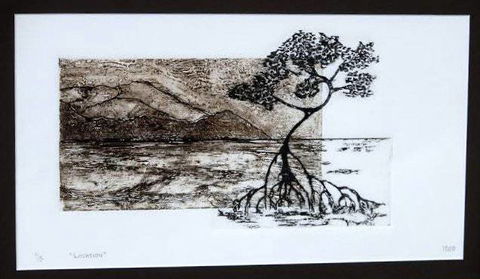 Douglas Arts Inc - Inverell Accommodation 0