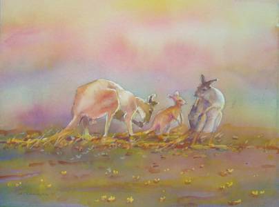Territory Colours - Inverell Accommodation 1