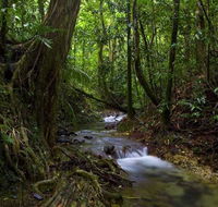 Trek North - Inverell Accommodation