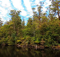 A R Reflections River Cruises - Inverell Accommodation
