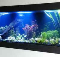 Aquariums in Cairns - Inverell Accommodation