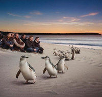 Down Under Thrills - Inverell Accommodation