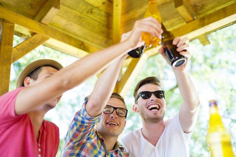 Airlie Beach Party Bus - Inverell Accommodation 1