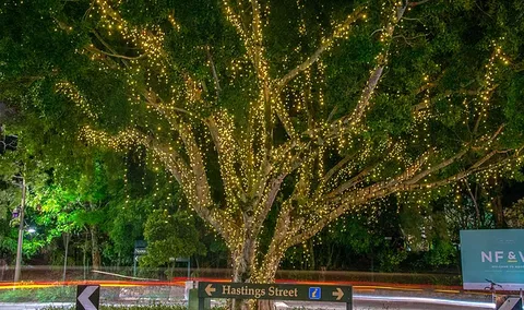 The Sunshine Coast Tour Company - Inverell Accommodation 3