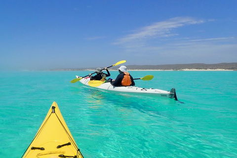 Lagoon Explorer - Ningaloo Reef Full-Day Kayaking And Snorkeling Adventure - Inverell Accommodation 7