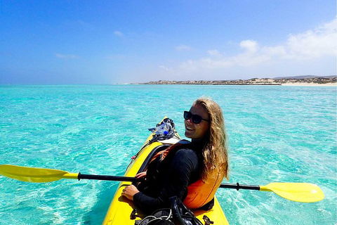 Lagoon Explorer - Ningaloo Reef Full-Day Kayaking And Snorkeling Adventure - Inverell Accommodation 2