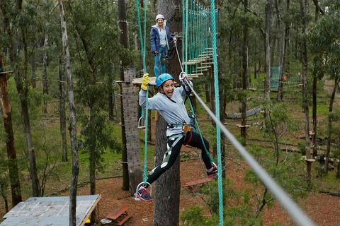 Busselton High Ropes And Zipline Adventure - Inverell Accommodation 0