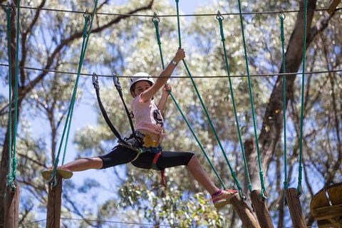 Busselton High Ropes And Zipline Adventure - Inverell Accommodation 1