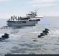 Busselton Whale Watching Eco Tour - Inverell Accommodation