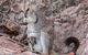 Lake Argyle Morning Cruise - thumb 6