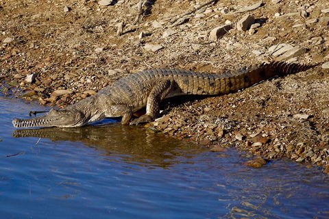 Lake Argyle Morning Cruise - Inverell Accommodation 7
