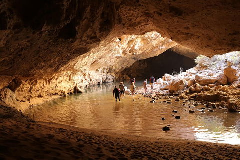 Devonian Reef Explorer - Inverell Accommodation 1
