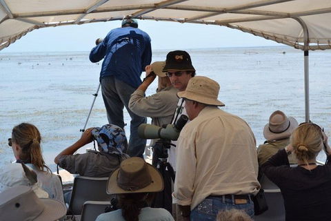 Lake Argyle Birdwatching Charter - Inverell Accommodation 6