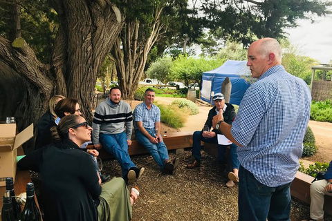 Bellarine Taster: Gin, Cider, Wine And Lunch Tour - Inverell Accommodation 7