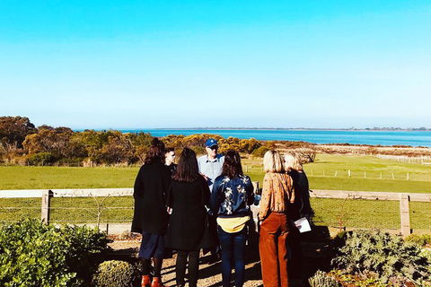 Bellarine Taster: Gin, Cider, Wine And Lunch Tour - Inverell Accommodation 4