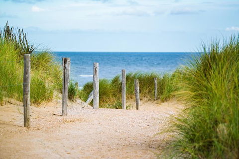 2 Day Exclusively Private Tour Of Phillip Island & The Penguin Parade - Inverell Accommodation 3