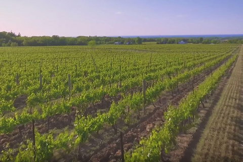 Macedon Ranges Small Group Wine Tour With 2 Course Lunch And Morning Tea - Inverell Accommodation 1