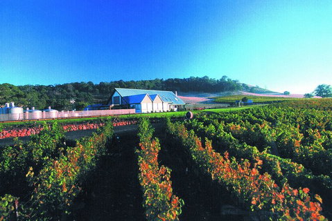 Macedon Ranges Small Group Wine Tour With 2 Course Lunch And Morning Tea - Inverell Accommodation 4