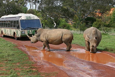 Melbourne Attractions Pass Including Melbourne Zoo, Hop-on Hop-off Bus And SEA LIFE Aquarium - Inverell Accommodation 13