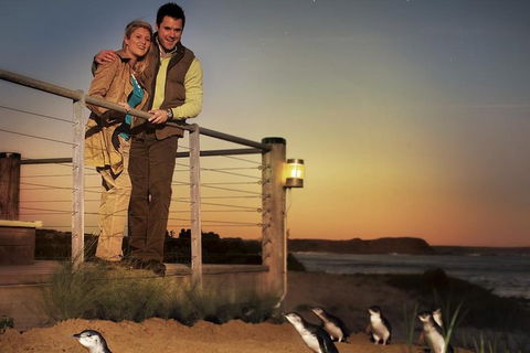 Melbourne Attractions Pass Including Melbourne Zoo, Hop-on Hop-off Bus And SEA LIFE Aquarium - Inverell Accommodation 10