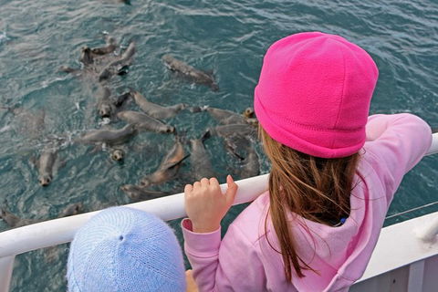 Phillip Island Seal-Watching Cruise - Inverell Accommodation 3