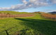 Yarra Valley Winery Private Tour - thumb 1