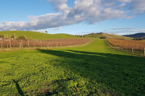 Yarra Valley Winery Private Tour - Inverell Accommodation 1