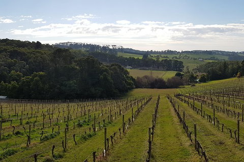 Yarra Valley Winery Private Tour - Inverell Accommodation 0