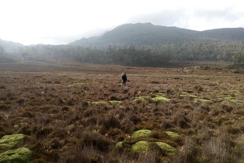 The Walls Of Jerusalem Supported Trekking Tour - Inverell Accommodation 4