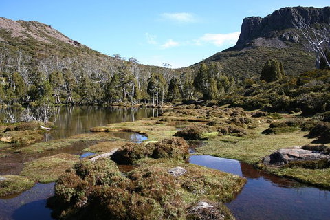 The Walls Of Jerusalem Supported Trekking Tour - Inverell Accommodation 6