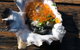 East Coast Splendour Gourmet Food Tour - thumb 7