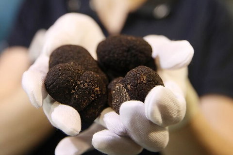 Adelaide Central Market Exclusive Tour - Inverell Accommodation 9