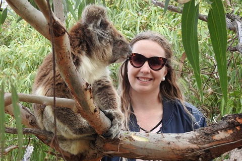 One Day Port Lincoln Tour - Tasting Eyre - Inverell Accommodation 0