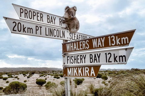 One Day Port Lincoln Tour - Tasting Eyre - Inverell Accommodation 4