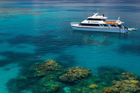 Poseidon Outer Great Barrier Reef Snorkeling And Diving Cruise From Port Douglas - Inverell Accommodation 2