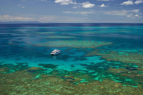 Poseidon Outer Great Barrier Reef Snorkeling And Diving Cruise From Port Douglas - Inverell Accommodation 5