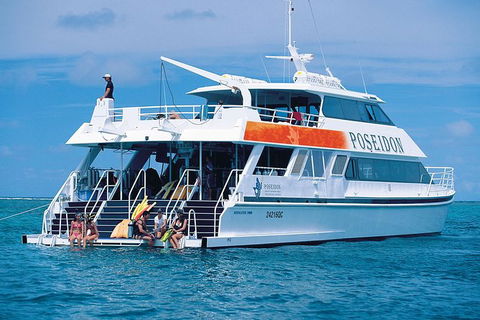 Poseidon Outer Great Barrier Reef Snorkeling And Diving Cruise From Port Douglas - Inverell Accommodation 7