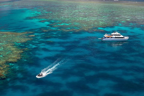Poseidon Outer Great Barrier Reef Snorkeling And Diving Cruise From Port Douglas - Inverell Accommodation 9