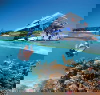 3-Day Southern Great Barrier Reef Tour Including Lady Musgrave Island - Inverell Accommodation