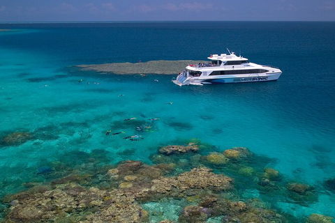 Silversonic Outer Great Barrier Reef Dive And Snorkel Cruise From Port Douglas - Inverell Accommodation 2