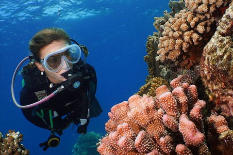 Silversonic Outer Great Barrier Reef Dive And Snorkel Cruise From Port Douglas - Inverell Accommodation 5