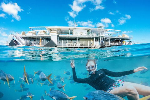 2-Day Great Barrier Reef Reefsleep Experience - Inverell Accommodation 8