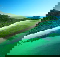 Cape Tribulation Mossman Gorge and Daintree Rainforest Day Trip from Cairns or Port Douglas - Inverell Accommodation