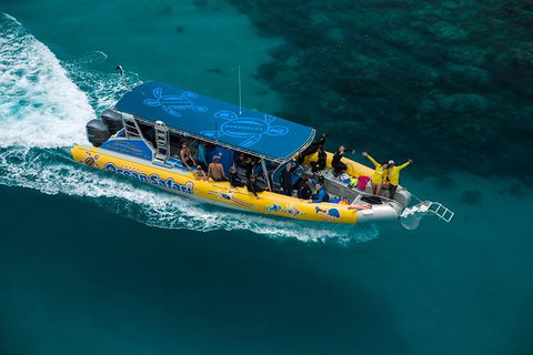 Ocean Safari Great Barrier Reef Experience In Cape Tribulation - Inverell Accommodation 1