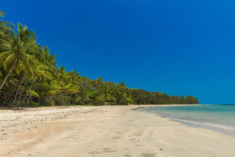 Ocean Safari Great Barrier Reef Experience In Cape Tribulation - Inverell Accommodation 3