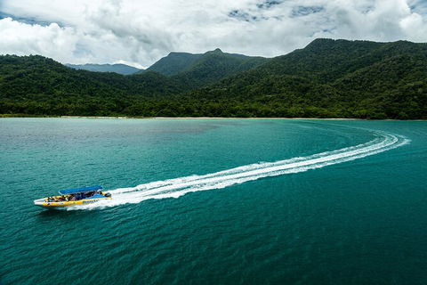 Ocean Safari Great Barrier Reef Experience In Cape Tribulation - Inverell Accommodation 6