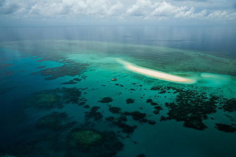 Ocean Safari Great Barrier Reef Experience In Cape Tribulation - Inverell Accommodation 16
