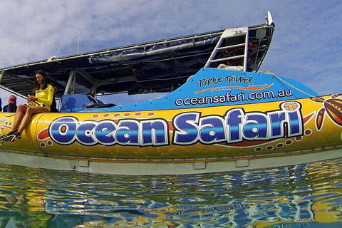 Ocean Safari Great Barrier Reef Experience In Cape Tribulation - Inverell Accommodation 8